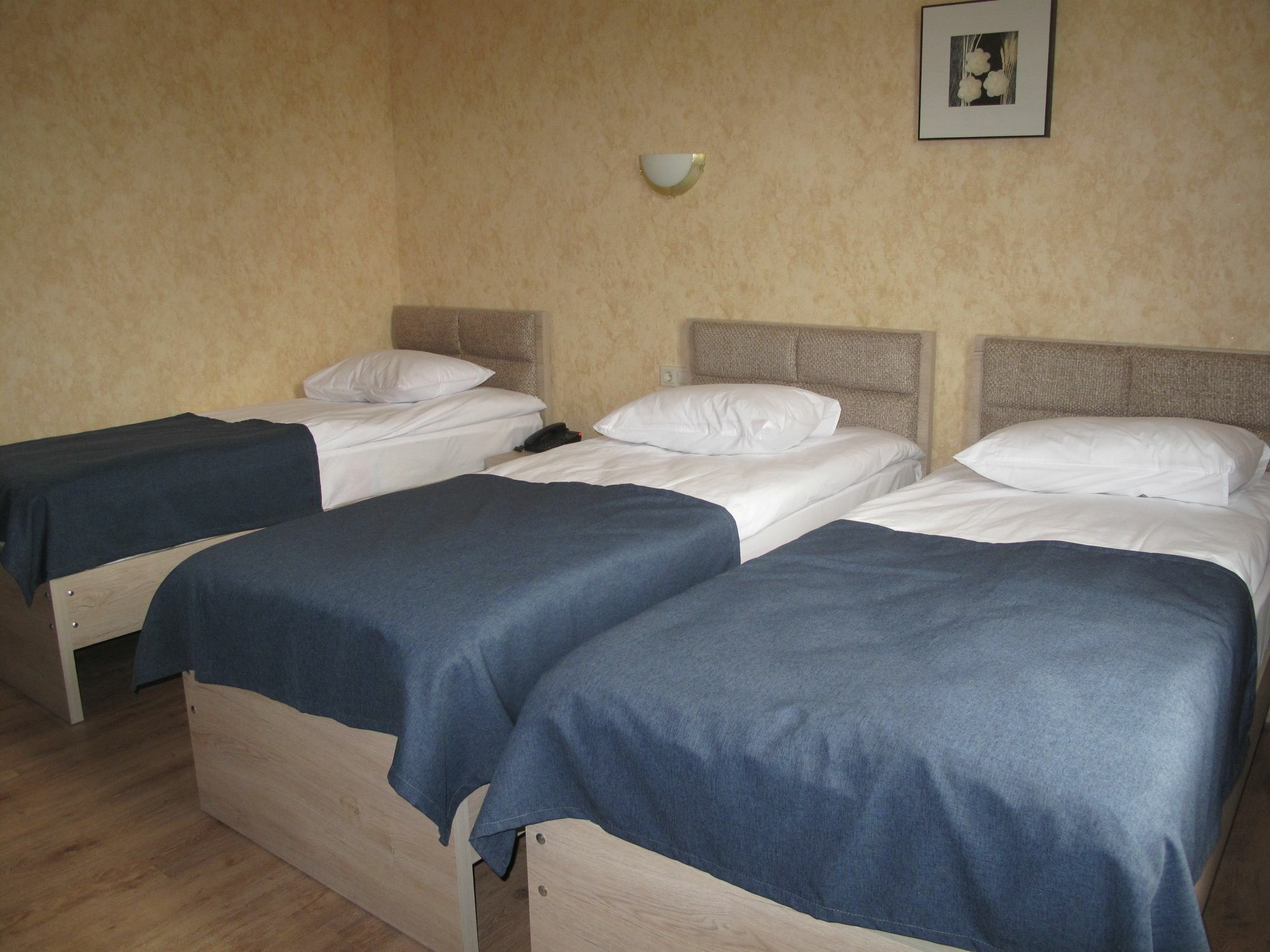 Hotel Ok Georgia ティビリシ エクステリア 写真